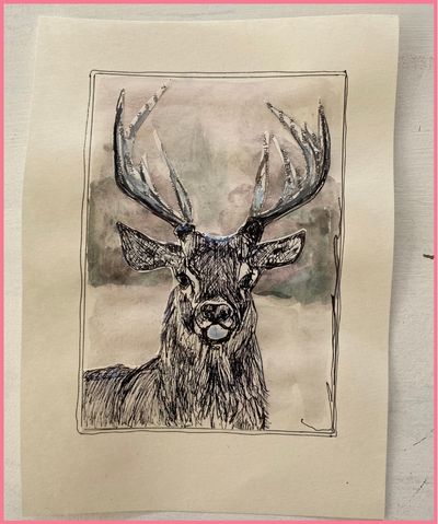 Monique-van-der-Ster-illustratie
